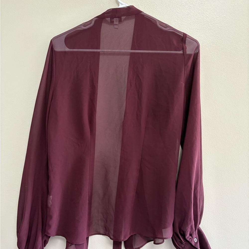 Express Sheer Plum Blouse - Picture 3 of 3